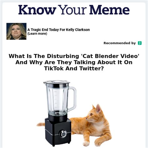 twitter kat in blender|The ‘Cat In Blender’ Video: A Disturbing Tale Of。